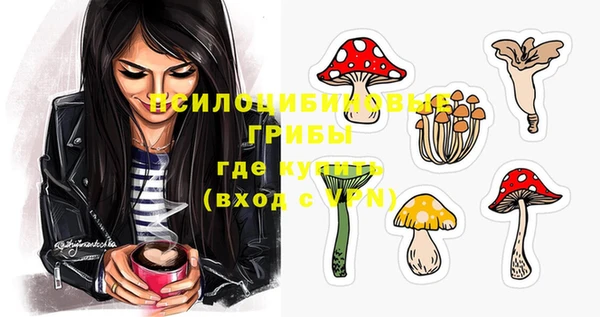 apvp Кулебаки