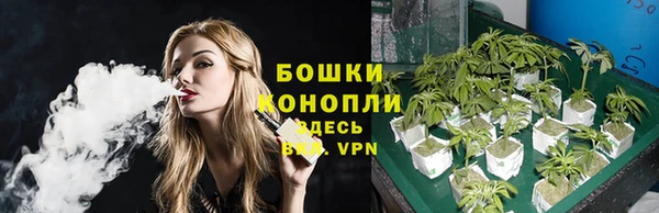ГАЛЛЮЦИНОГЕННЫЕ ГРИБЫ Куйбышев